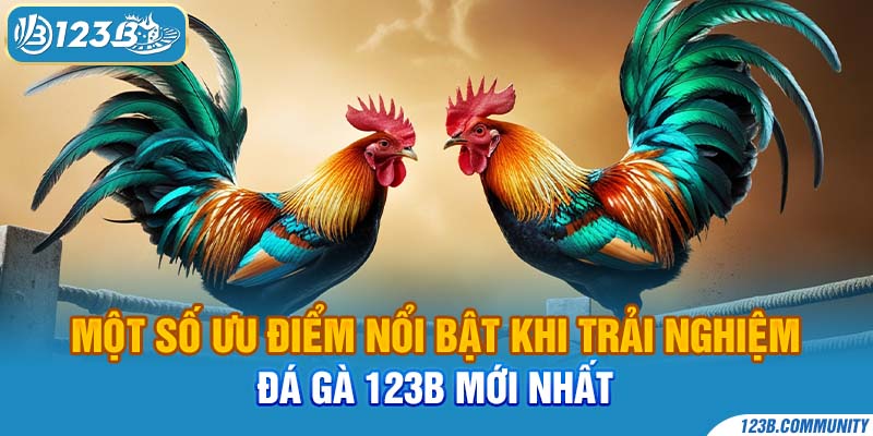 Một số ưu điểm nổi bật khi trải nghiệm Đá gà 123B mới nhất 