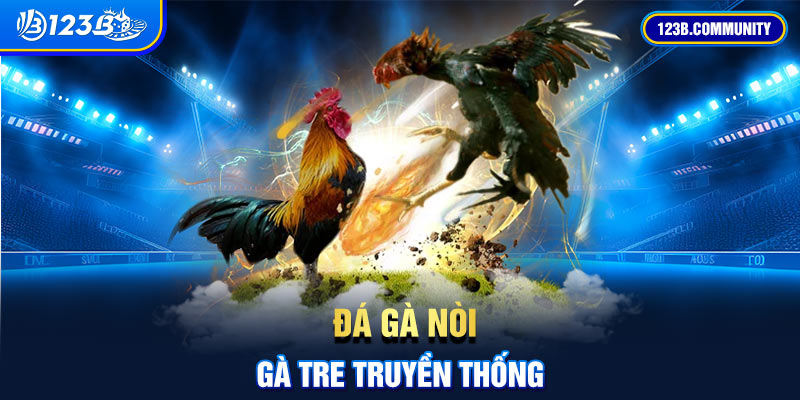 Đá gà nòi, gà tre truyền thống