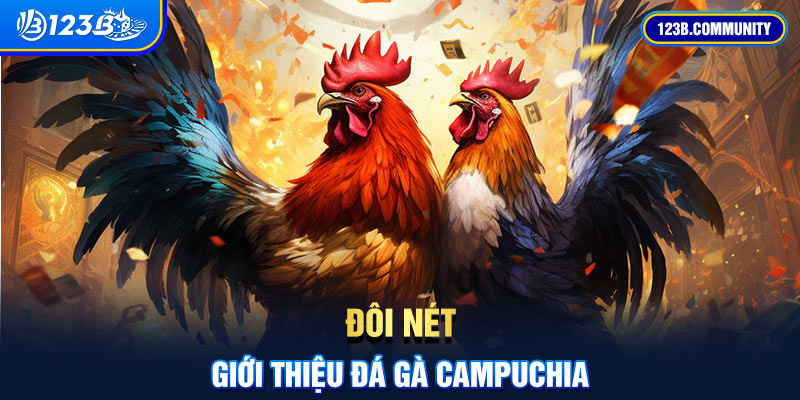 Đôi nét giới thiệu đá gà Campuchia 