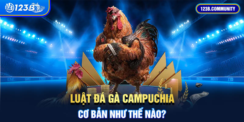 Luật đá gà Campuchia cơ bản như thế nào?