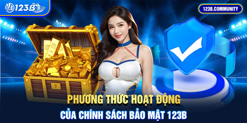 Phương thức hoạt động của chính sách bảo mật 123B