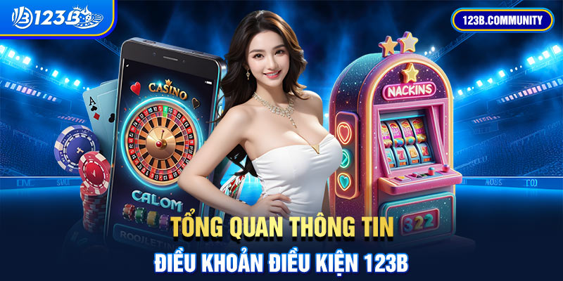 Tổng quan thông tin điều khoản điều kiện 123B