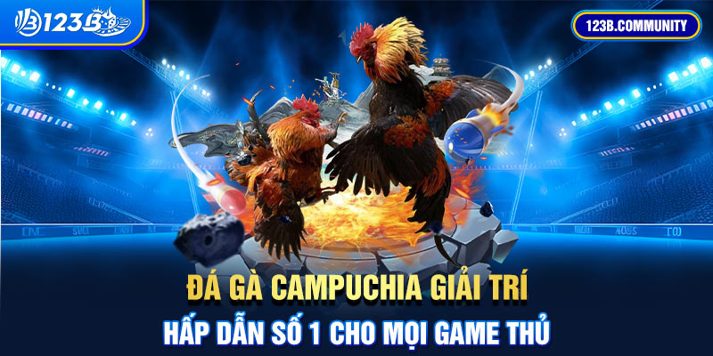 Đá Gà Campuchia Giải Trí Hấp Dẫn Số 1 Cho Mọi Game Thủ